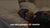 Manta PRO Sleep Mask - Media 21 of 101